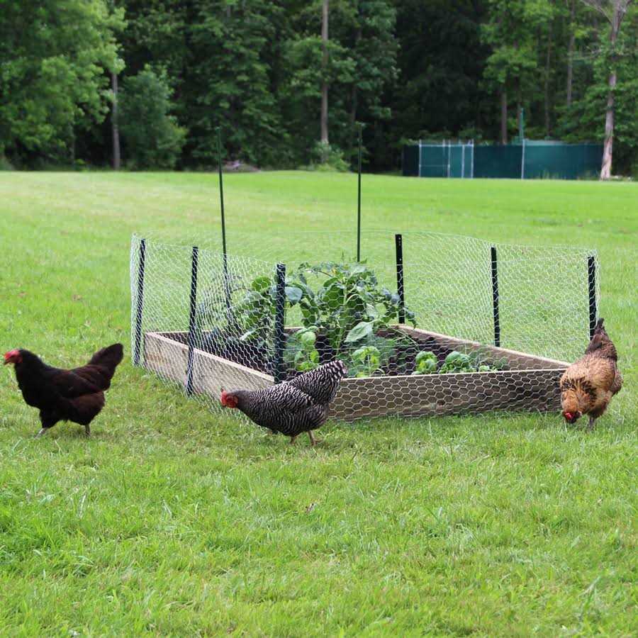 Garden Zone Light Duty Fence Post - Inhomebuy