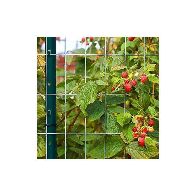 Vasgor Sturdy Duty Metal Fence Post Garden U Post for Fencing - Inhomebuy