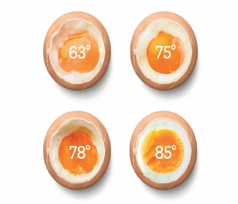 Breville Egg Cooker |BEG800SIL| the One Precision Poacher - Inhomebuy