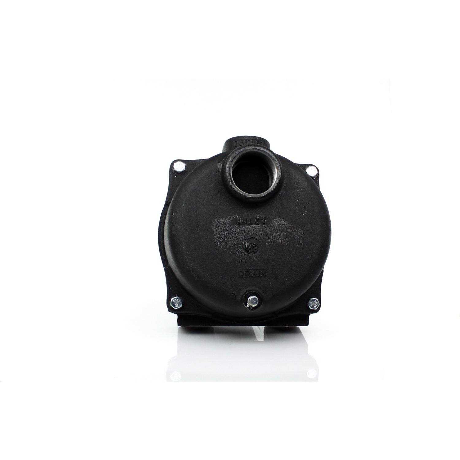 Wayne 1 HP Stainless Steel Portable Sprinkler Pump PLS100 - Inhomebuy
