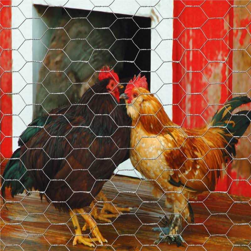 Garden Zone Poultry Netting - Inhomebuy