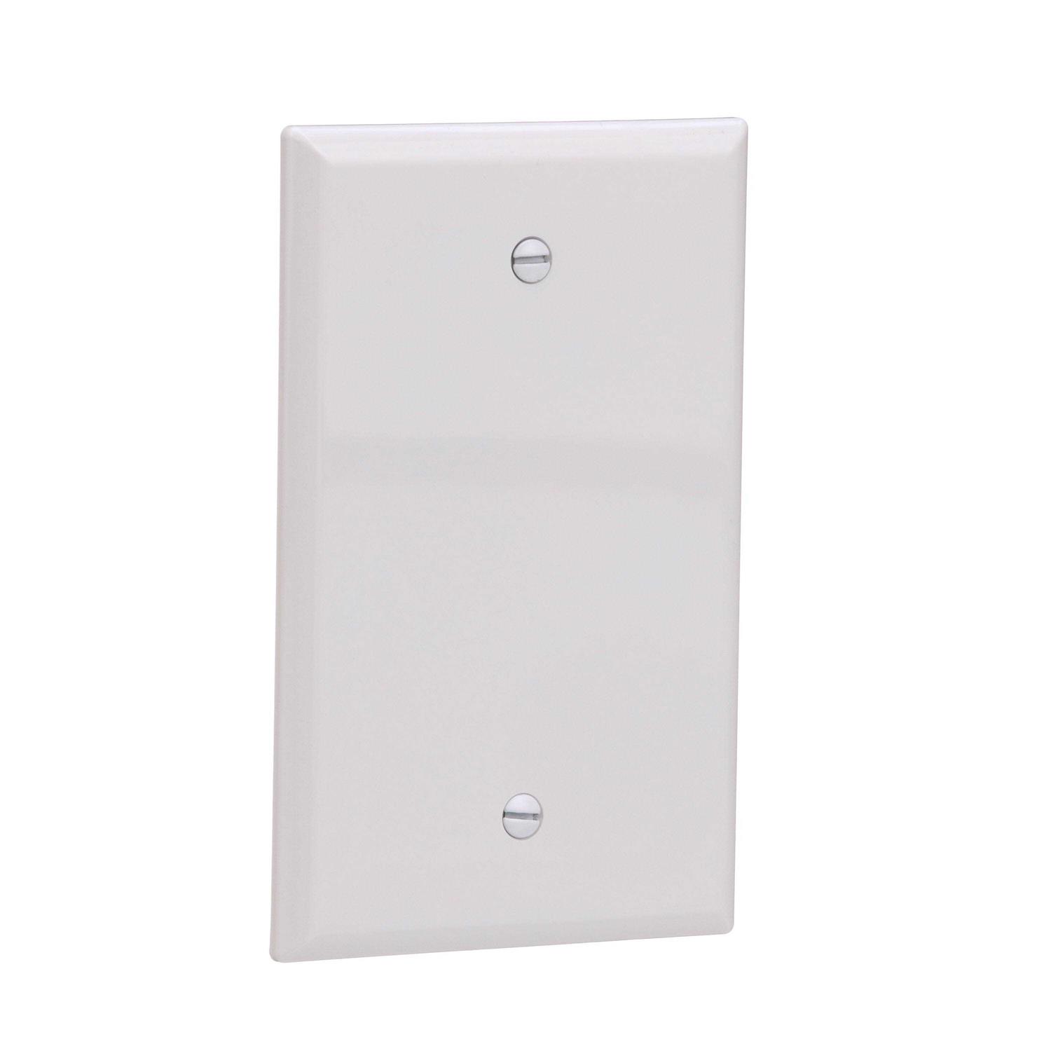 Eaton 1-Gang Jumbo Duplex Wall Plate 2142W-F-LW - Inhomebuy