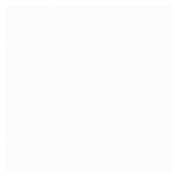 Zinsser B-I-N Shellac-Base Primer - Inhomebuy