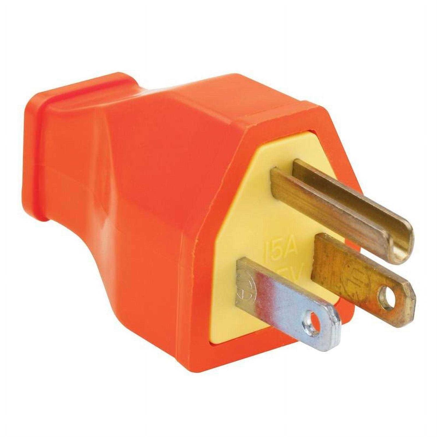 Pass & Seymour 15A 2W Plug - Inhomebuy