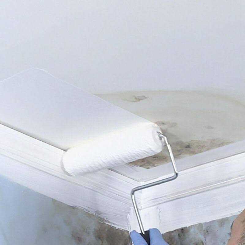 Zinsser Mold Killing Primer - Inhomebuy