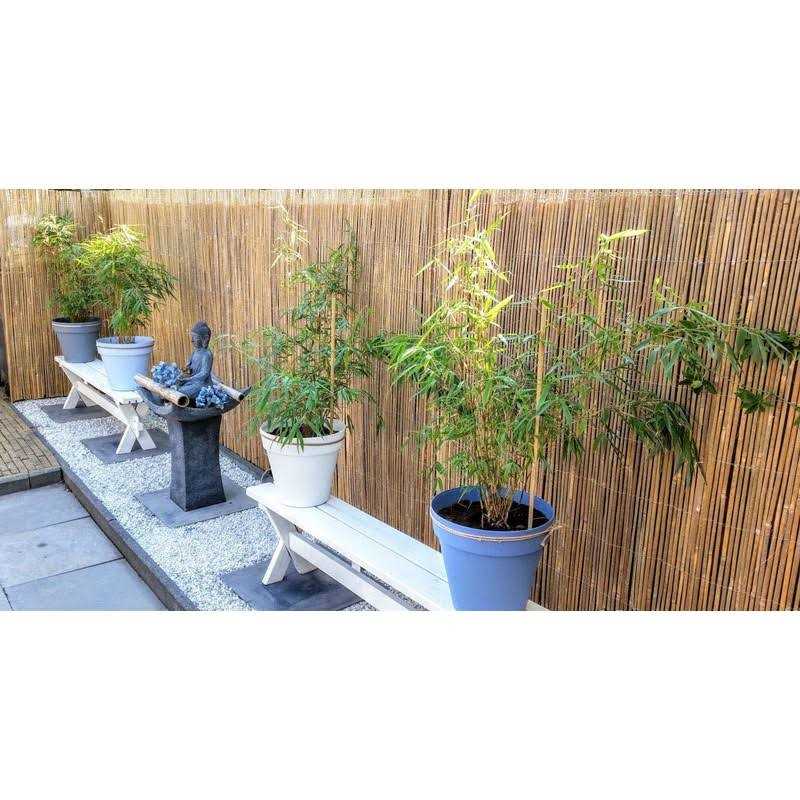 MGP 96 in. H Slat Bamboo Roll Garden Fence - Inhomebuy
