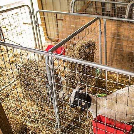 Tarter GWHP Gate Wheel - Inhomebuy