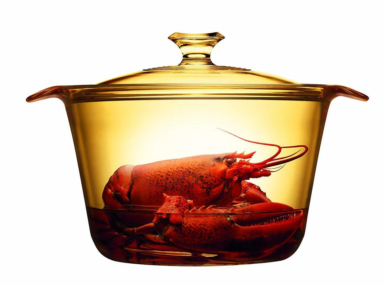 Visions FLAIR Glass Cook Pot |VSF38| 3.8L with Glass Cover - Inhomebuy