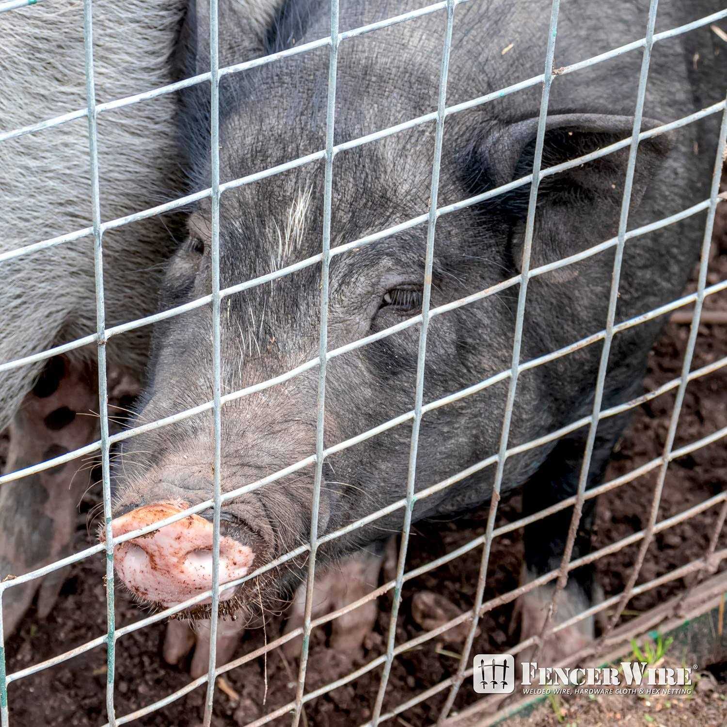 Fencer Wire 3 ft. x 15 ft. x 1/2 - Inhomebuy