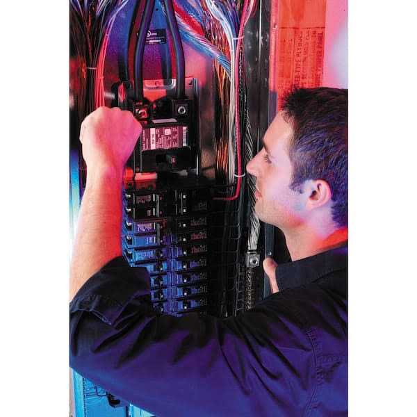 Eaton BQ230250 2 Pole Circuit Breaker - Inhomebuy