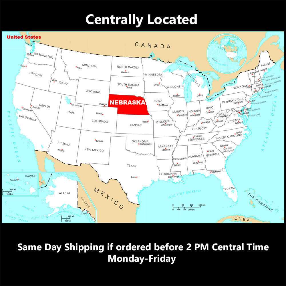 Zero Degree 1/4 Drive Gearless Ratchet with Socket Quick Release - Inhomebuy