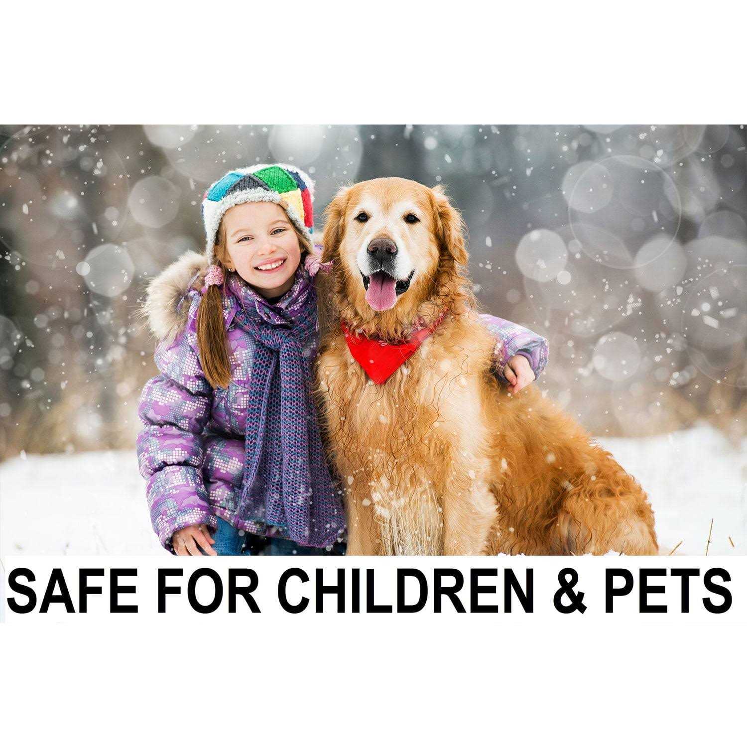 ecoSpikes Stainless Steel Track Cross Country Spikes - Inhomebuy