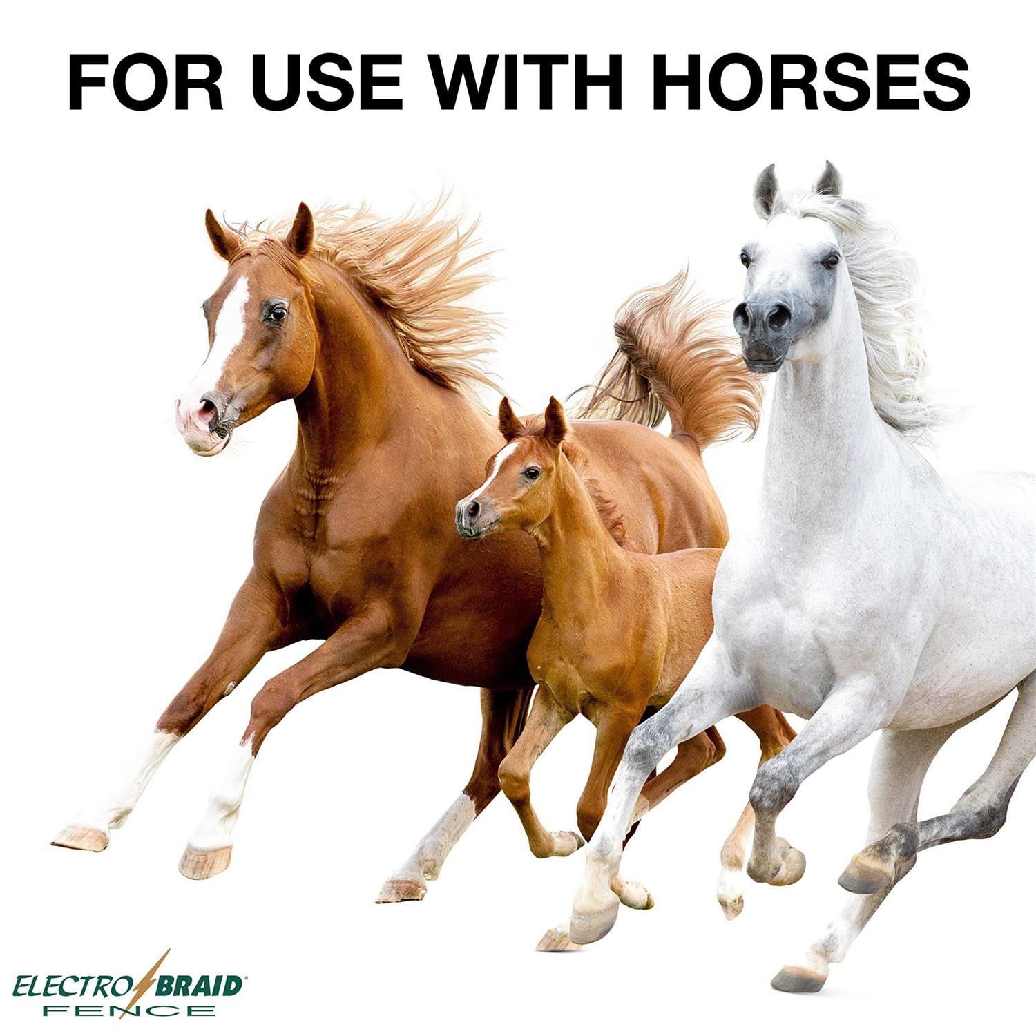 Electro Galvanized Spring Snap Link - Inhomebuy