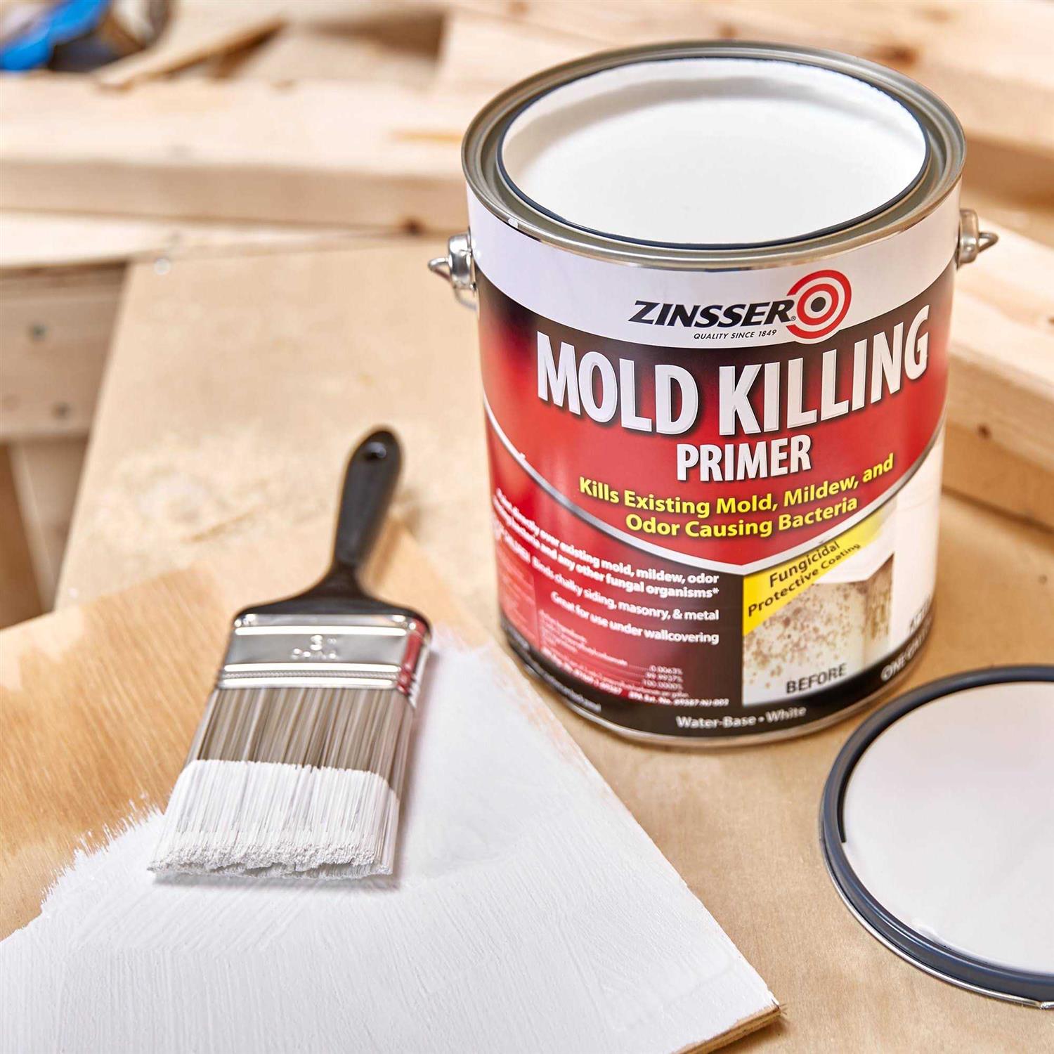 Zinsser Mold Killing Primer - Inhomebuy