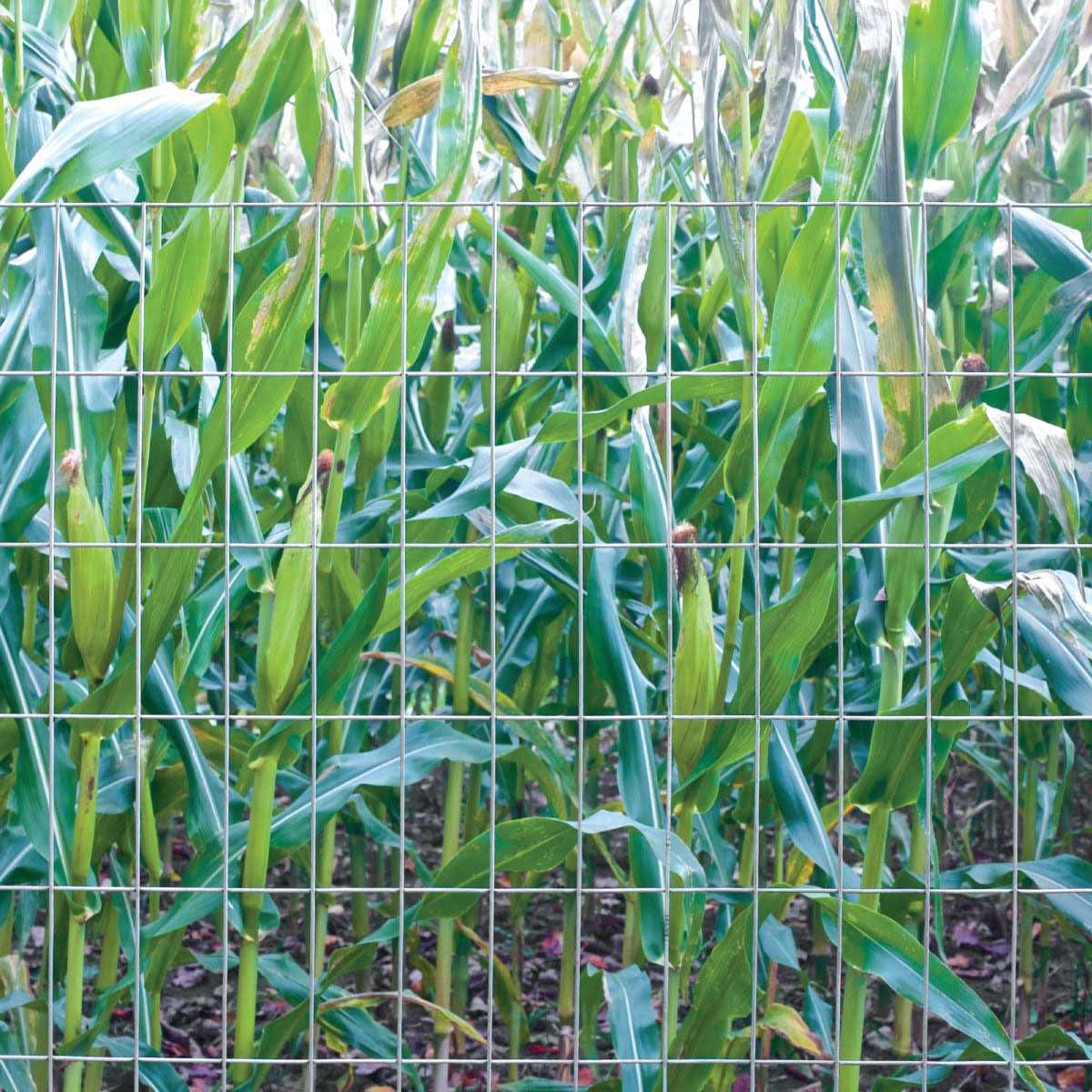 Garden Zone 023650 Green Garden Fence - Inhomebuy