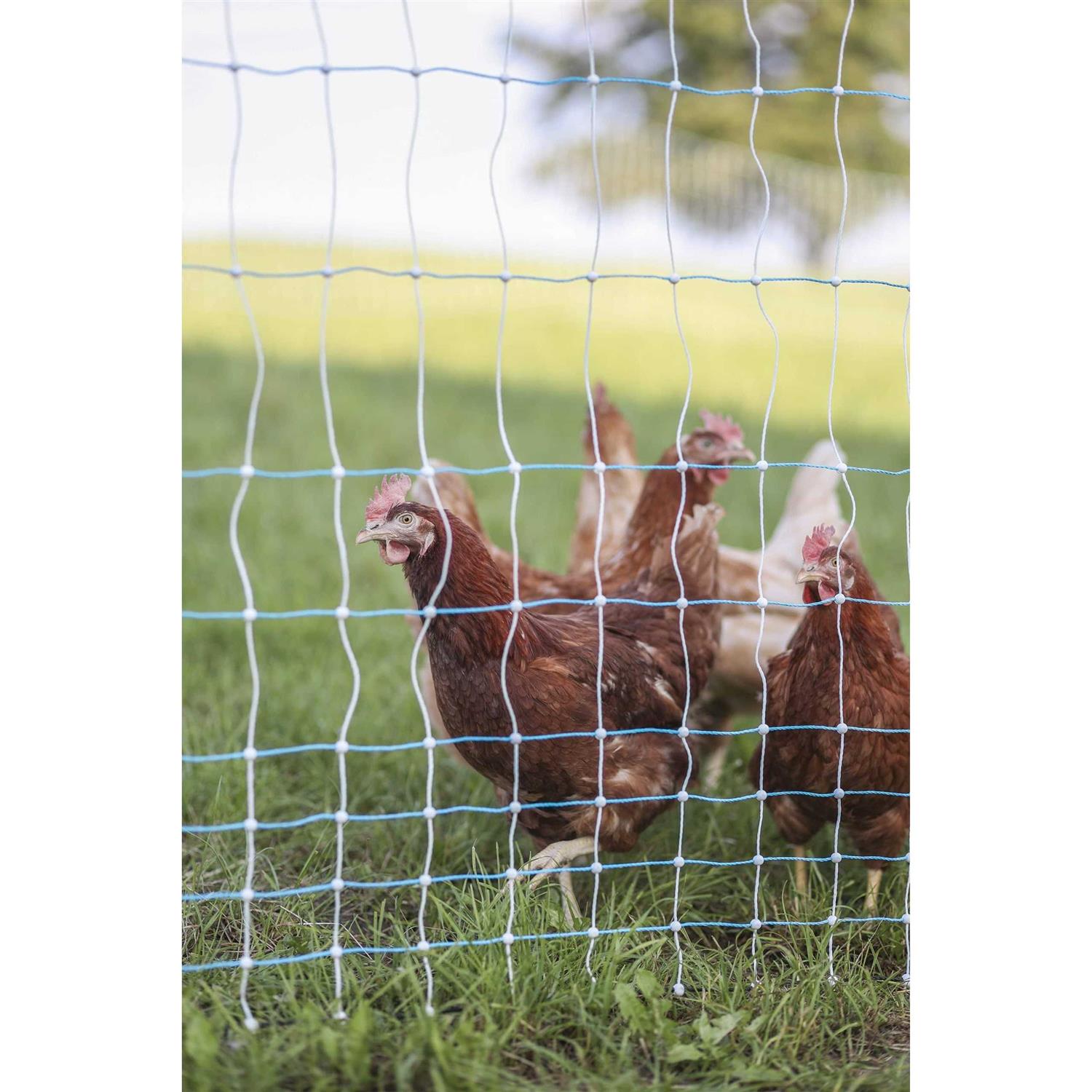 Starkline 3.5 ft. x Premium Electric Poultry Netting - Inhomebuy