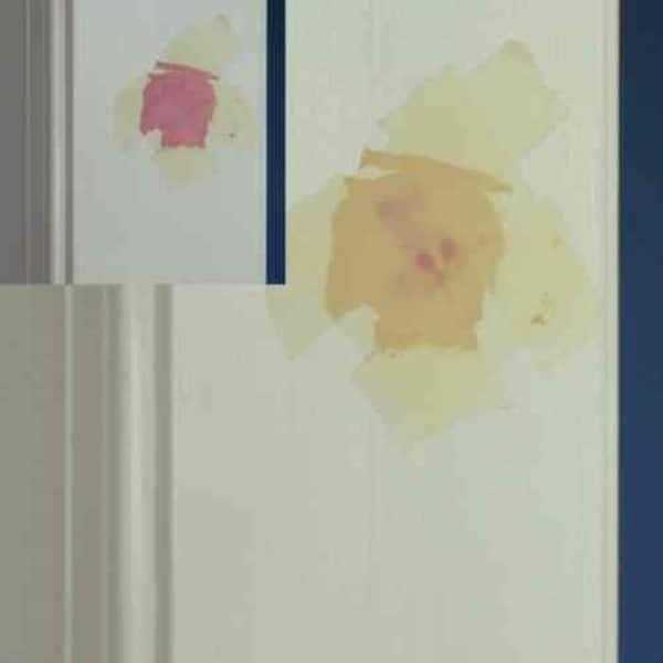 Dap Plastic Wood-X Repair Kit - Inhomebuy