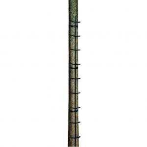 WOLF 1/2 NPT Natural Gas Pressure Regulator 3 to 6 Water Column Range 712371 - Inhomebuy