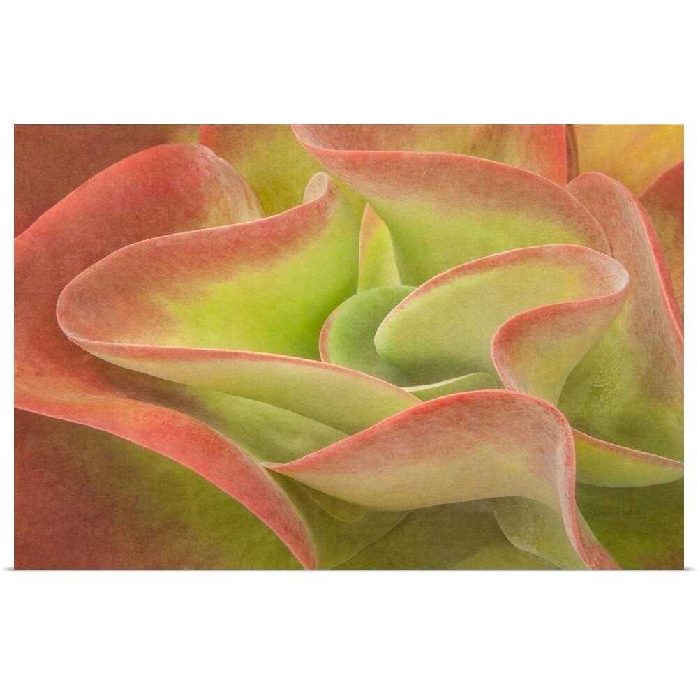 Shutter Bar/Door Latch Deltana SB3058U - Inhomebuy