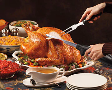 Hamilton Beach Electric Knife with Fork & compact storage case | 74275RC - Inhomebuy