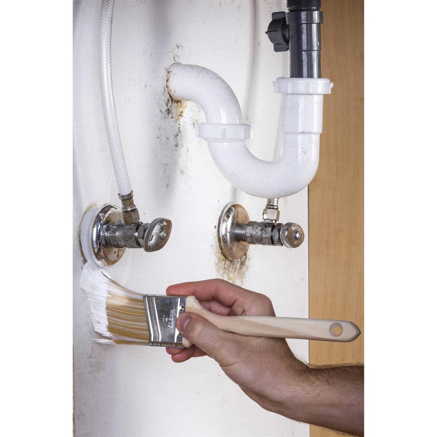 Zinsser Mold Killing Primer - Inhomebuy