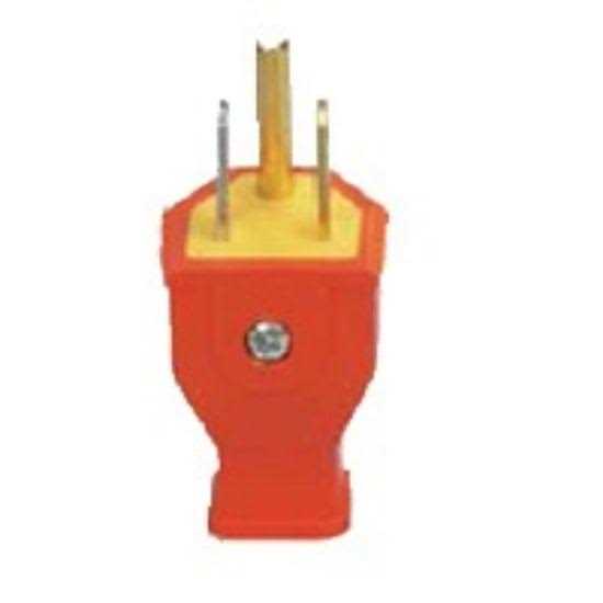 Pass & Seymour 15A 2W Plug - Inhomebuy