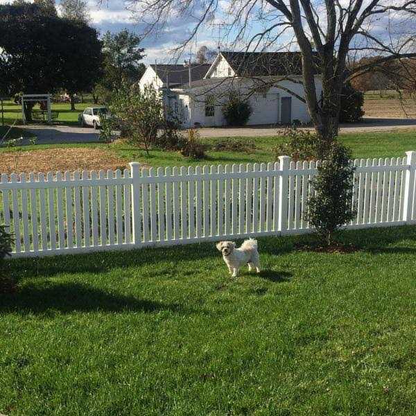 Weatherables Pembroke H White Vinyl Privacy Fence Gate Kit - Inhomebuy
