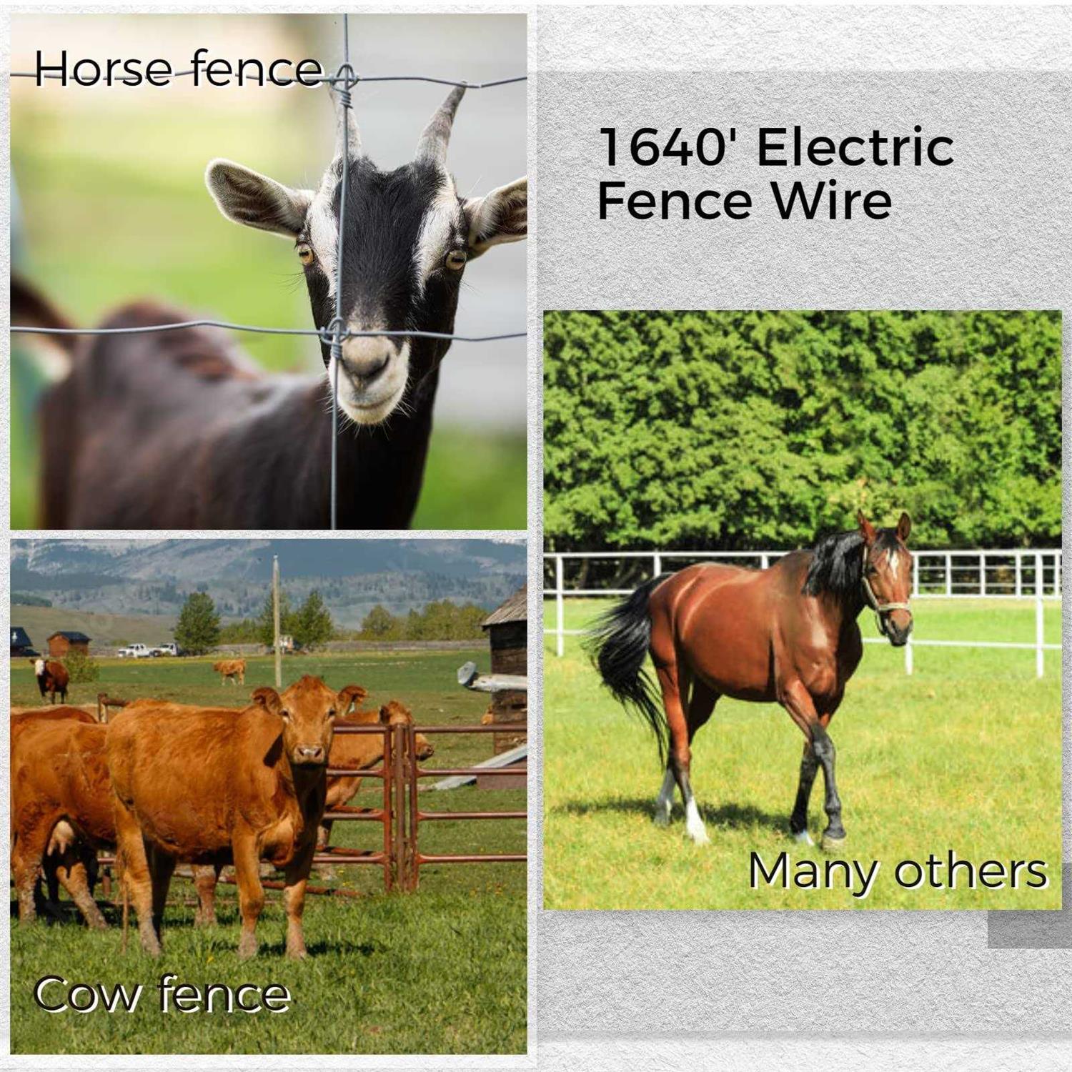 Electric Fence Netting/Temporary Fence Sheep Netting with 14 Posts 2 Spikes 3.6′ H x 164′ L for Sheep - Inhomebuy
