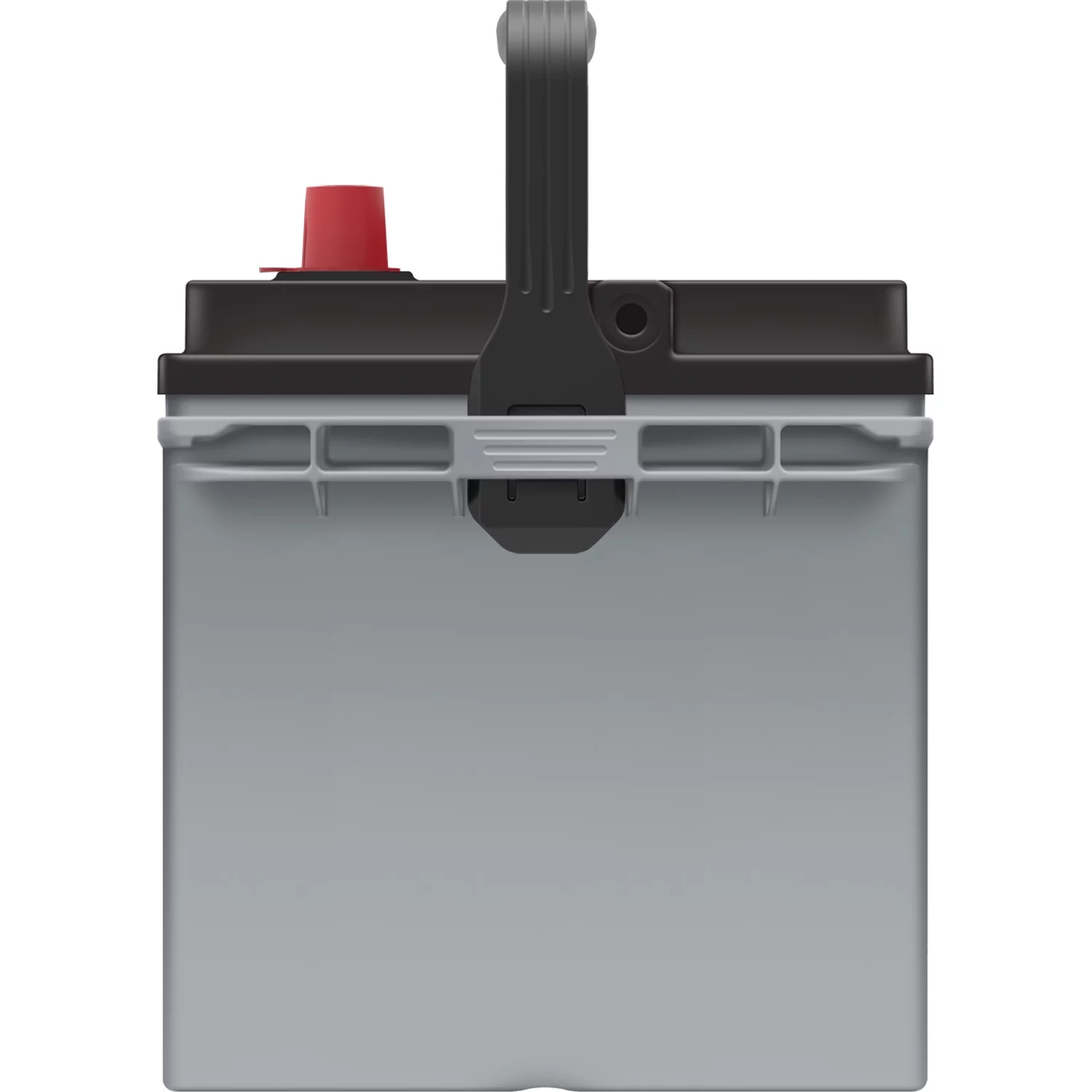 EverStart Platinum BOXED AGM Automotive Battery, Group Size 24F 12 Volt, 710 CCA - Inhomebuy