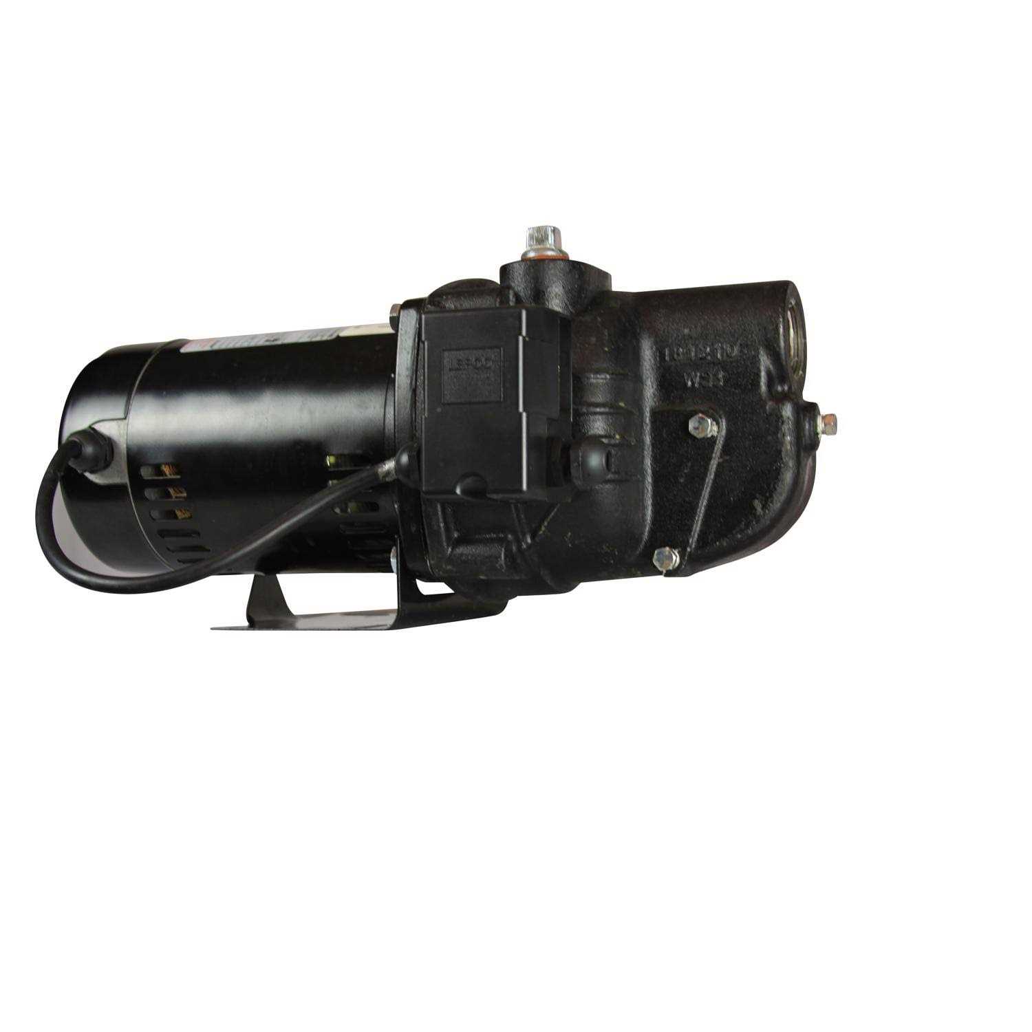 Wayne SWS100 1 HP Cast Iron Shallow Well Jet Pump - Inhomebuy
