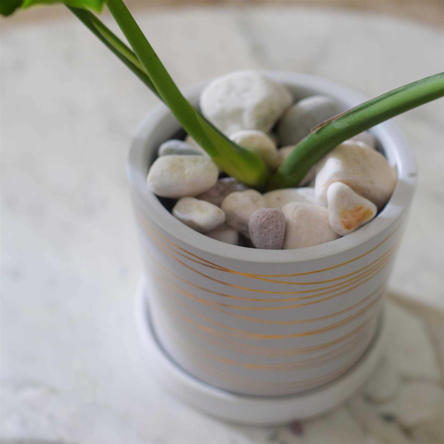 Williams WS-476 6 Piece Adjustable Pin Spanner Wrench Set - Inhomebuy