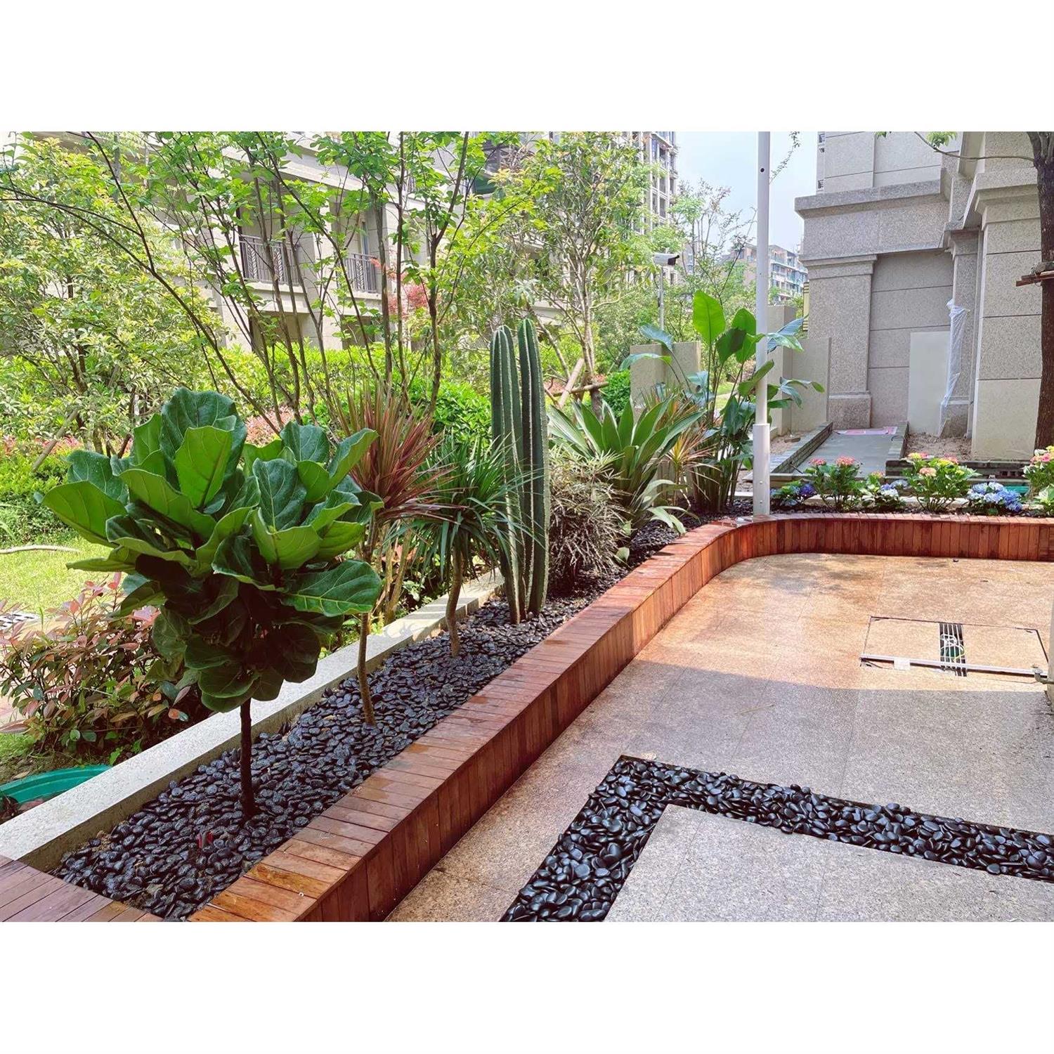 Fantech WC-15 Speed Control WC15 - Inhomebuy