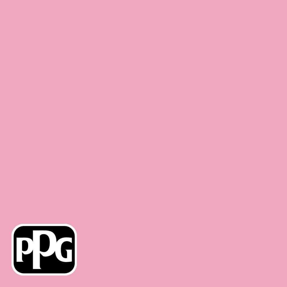 MULTI-PRO 1 gal Rose Interior Paint - Inhomebuy