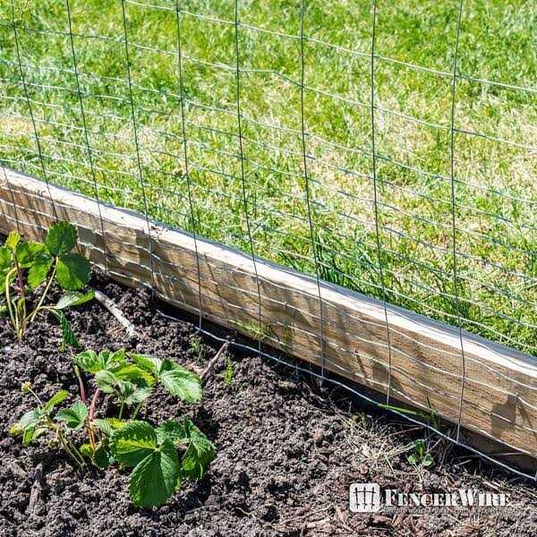 Fencer Wire 19 Gauge Green Vinyl Coated 1/2 Hardware Cloth Vegetables Garden Rabbit Fencing Snake Fence for Chicken Run Critters Gopher Racoons - Inhomebuy