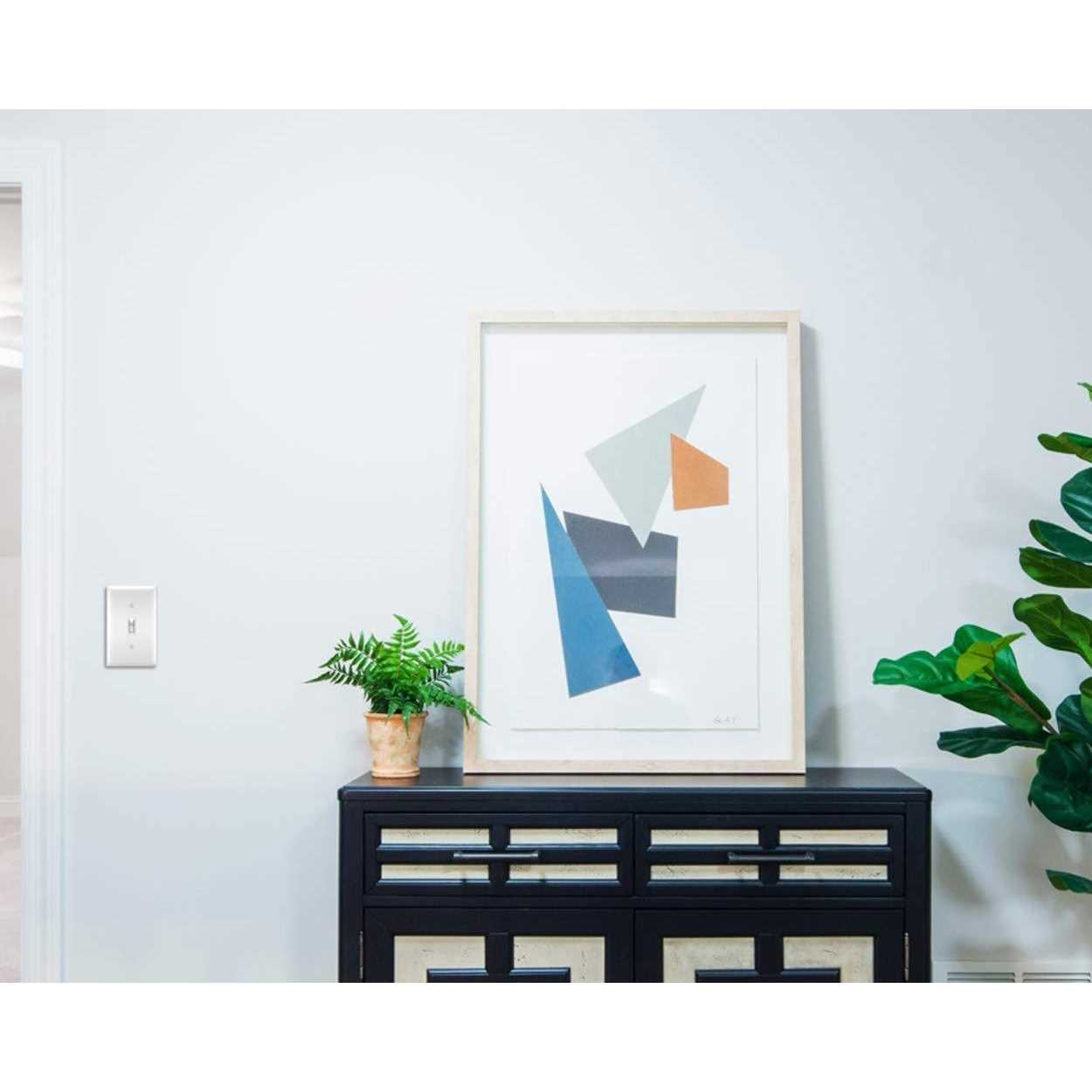 Pass & Seymour SS147 2Gang Wall Plate - Inhomebuy