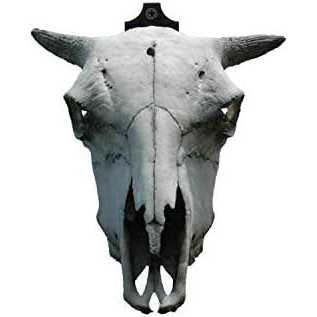 Vepotek Vtoiac1 Landscape Rock Outdoor Power Extension - Inhomebuy