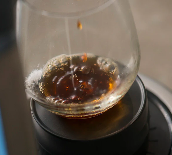 Breville Coffee Maker |BDC450BSS| the Precision Brewer Thermal - Inhomebuy