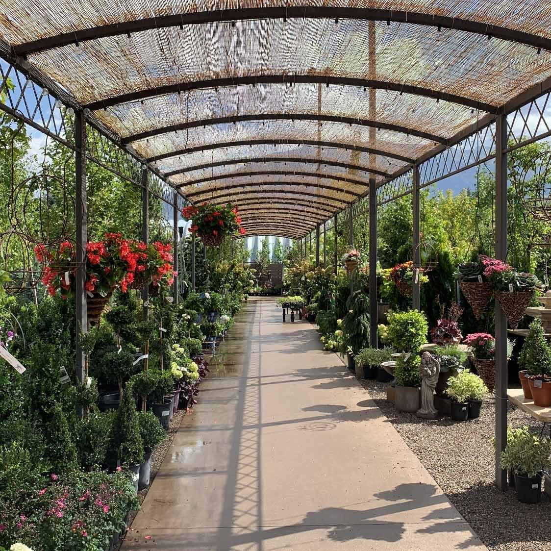 H X Natural Reed Fence Decorative Fencing Backyard X-Scapes - Inhomebuy