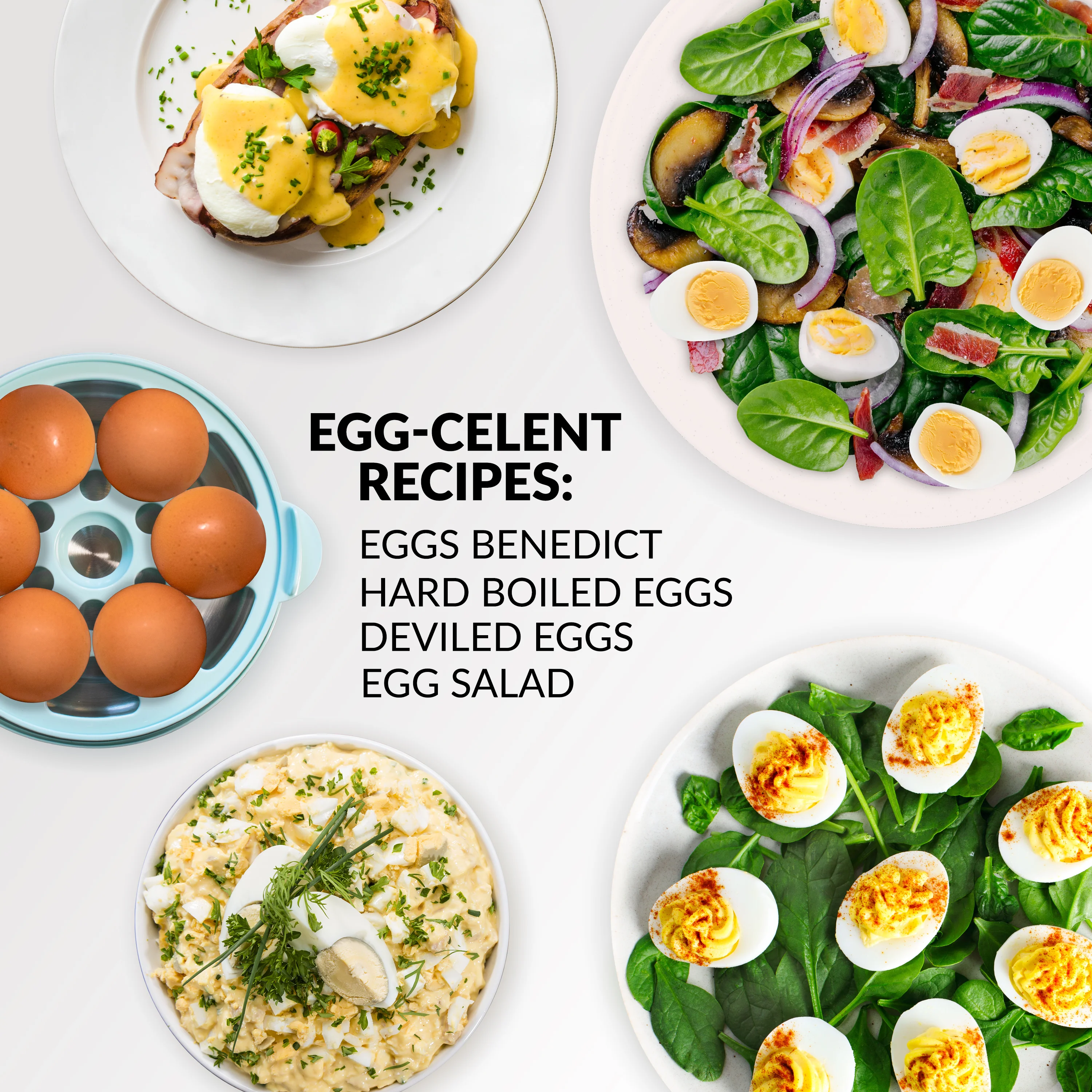 Retro Premium 7-Egg Capacity Electric Egg Cooker, Aqua - Inhomebuy