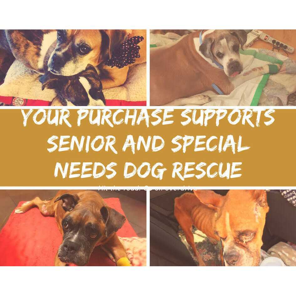 Superior Pump 1/3 HP Submersible Thermoplastic Utility Pump 91330 - Inhomebuy