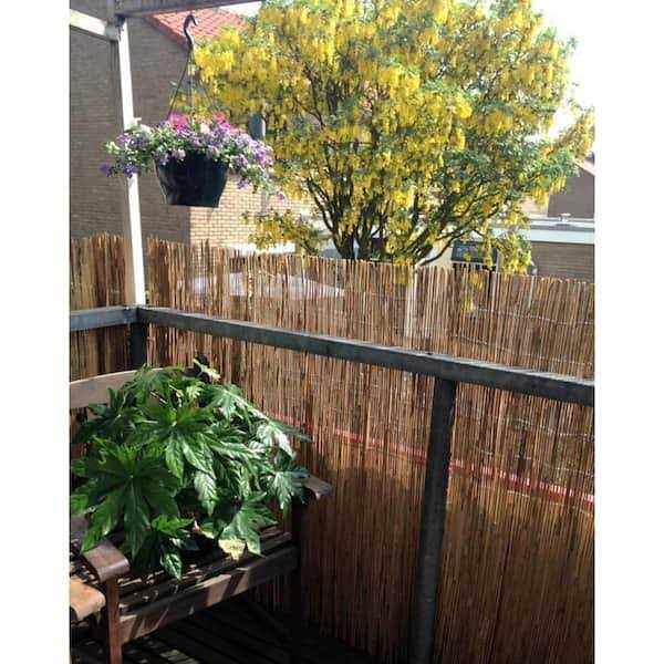 MGP 5 ft. L x 4 ft. H Bamboo Picket Rolled Fence - Inhomebuy
