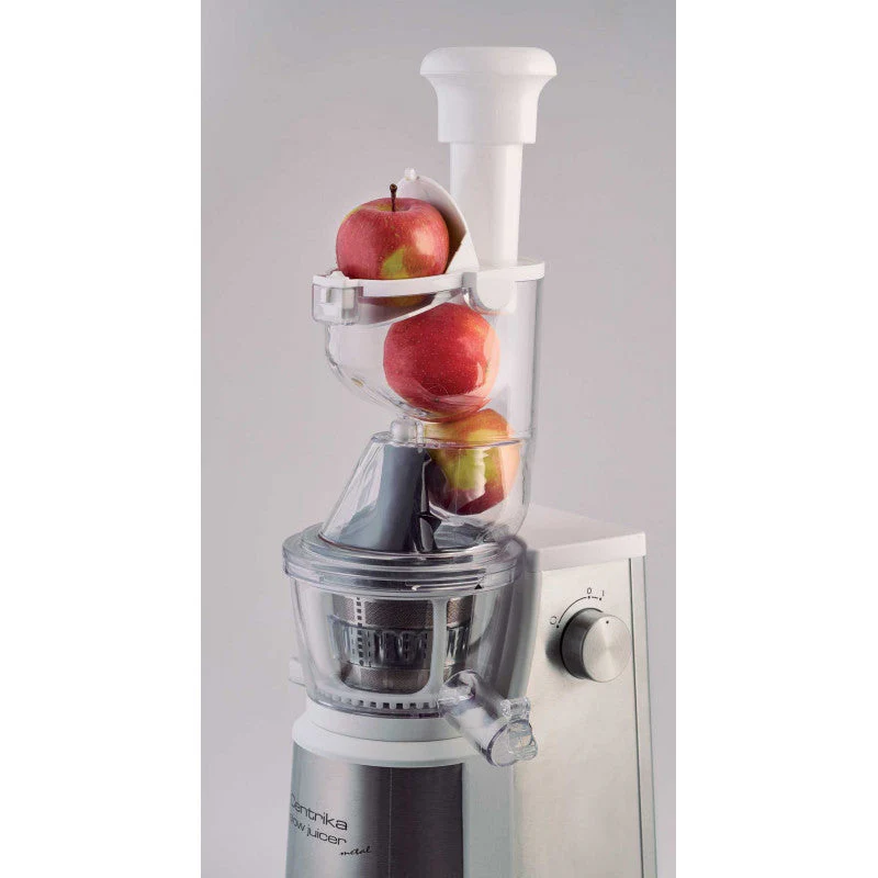 Slow Juicer Stainless Steel 400W - Inhomebuy
