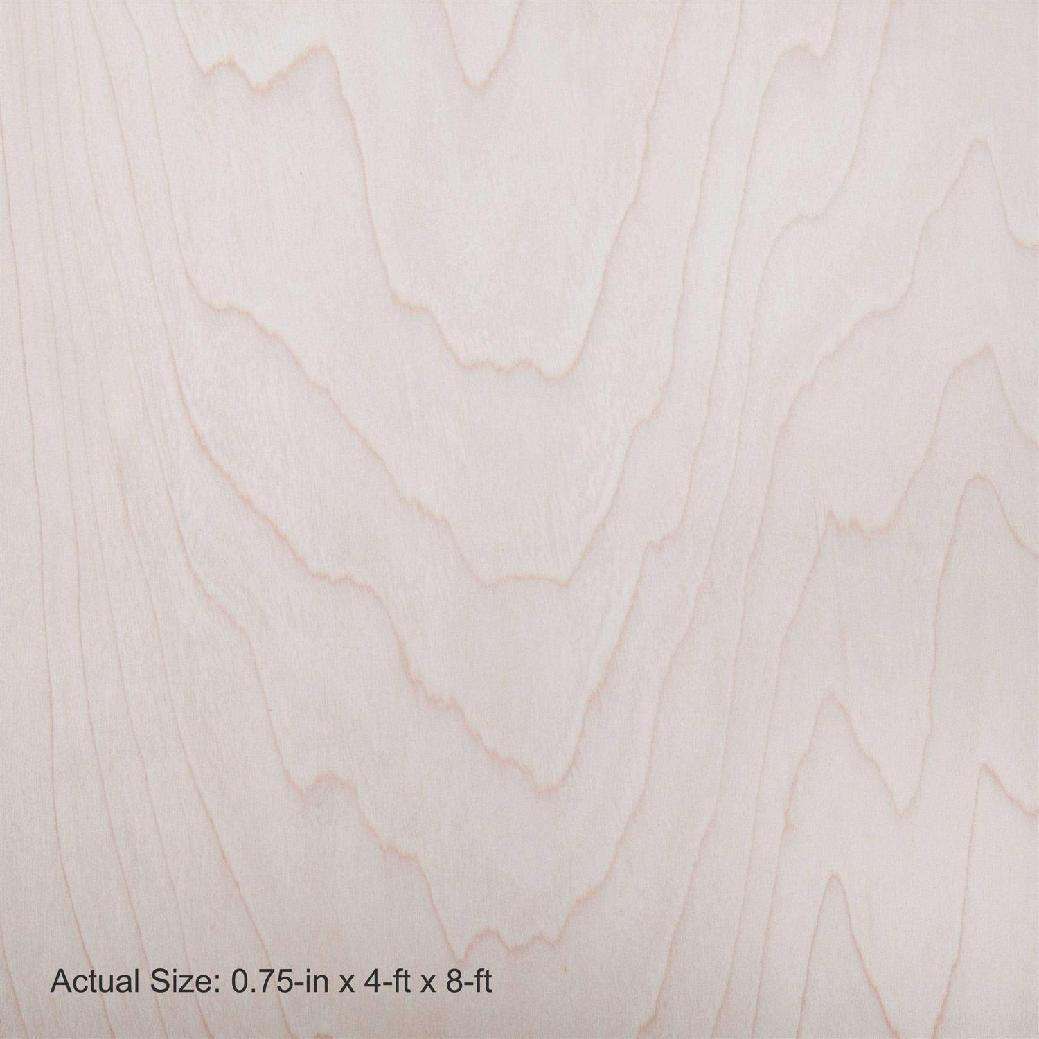 Lowe’s 27-in x 8.08-ft Galvanized Steel Stucco Netting 715169 - Inhomebuy