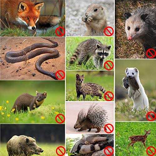 Seboss Hardware Cloth 1/2 inch 19 Gauge Hot Dip Galvanized After Welding - Inhomebuy