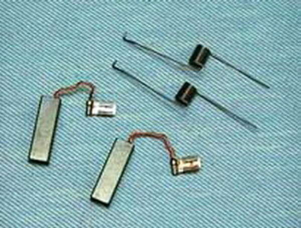 Brush & Spring Kit for DSM-7 (Pack of 2) - Inhomebuy