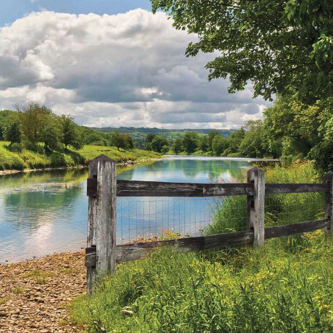 Yard Elements Heavy-Duty Firewood Splitter Fireplace Tool Log Splitter Kindling Splitter or Kindling Cracker Safe Wood Splitter - Inhomebuy