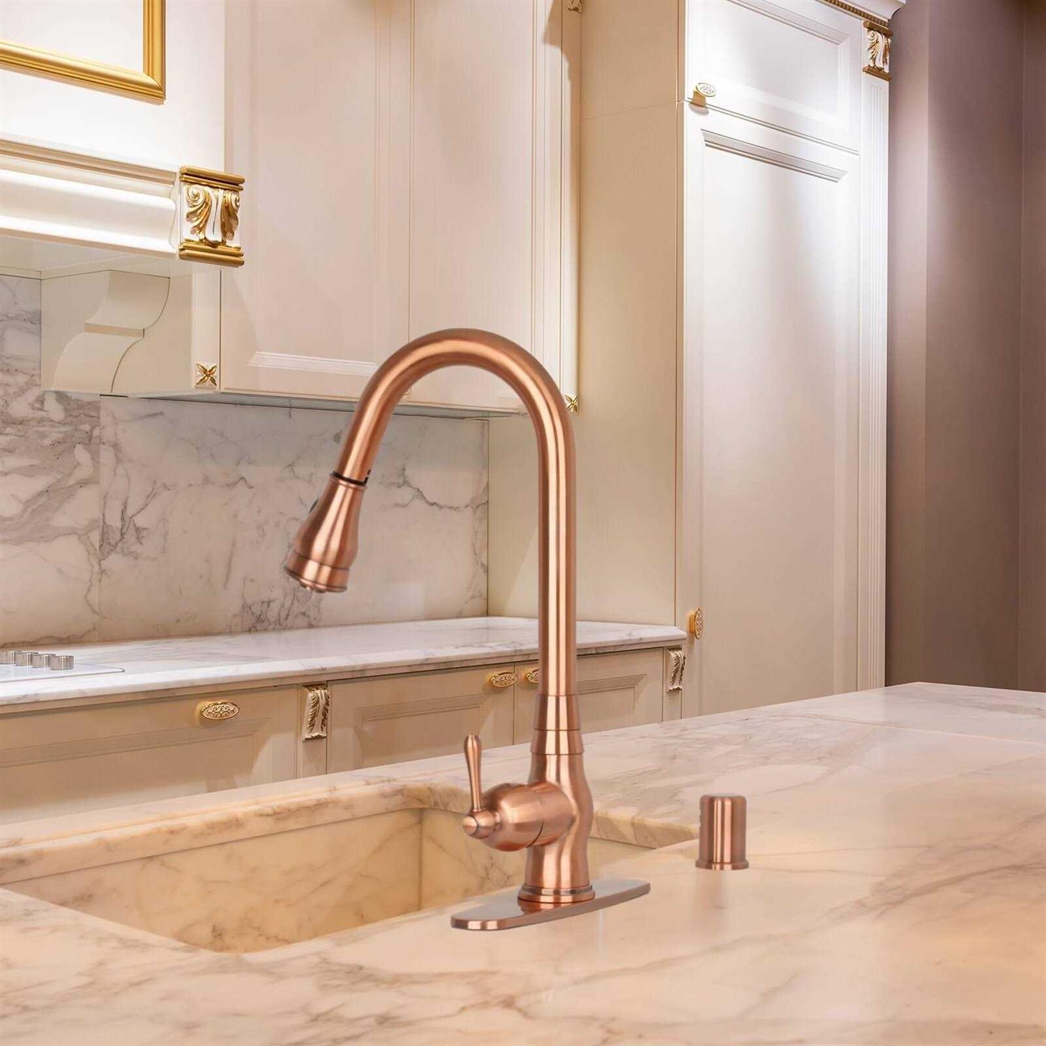 Nauxus Pot Filler Kitchen Faucet Wall-Mounted NX98288-BTG - Inhomebuy