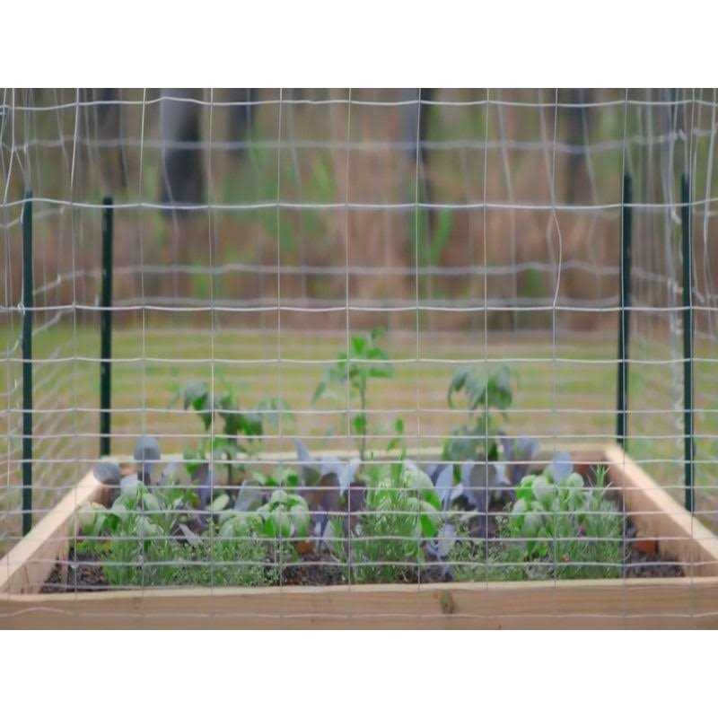 Garden Zone Poultry Netting 36×150′ - Inhomebuy