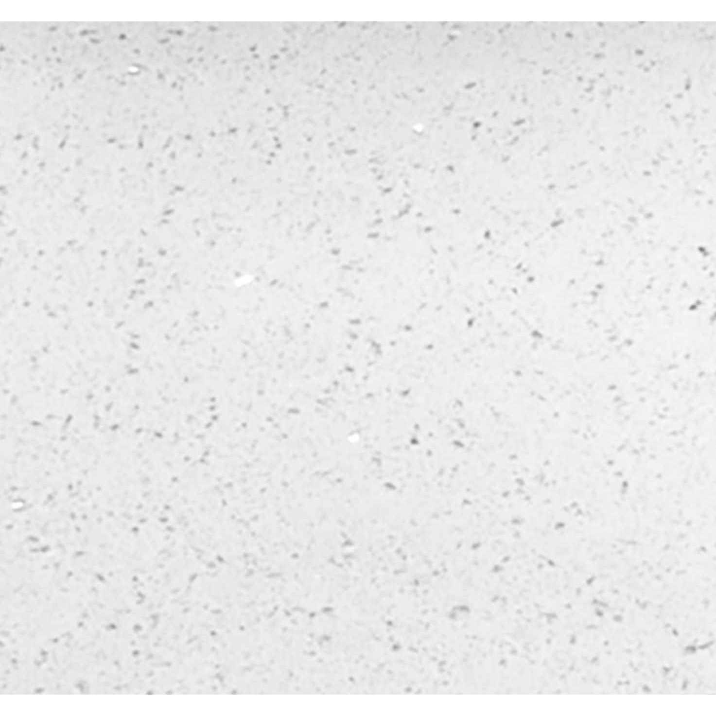 Winegard RV-7542 Wall Plate Power Supply - Inhomebuy