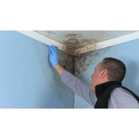 Zinsser High Hide Cover-Stain Primer - Inhomebuy